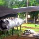 The wreckage of an American U-2 spy plane and a model of the Russian missile that shot it down at Cuba's national museum.